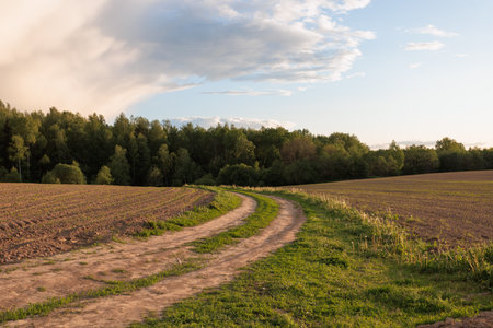 Rural road through the field at sunset. beautiful summer landscape.の写真素材