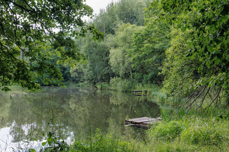 Landscape with a lake and wooden pier in the middle of the forestの写真素材