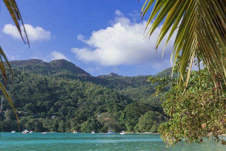Tropical beach with palm trees and blue sky in the backgroundの写真素材