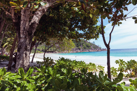 Tropical beach at Seychelles, Mahe islandの写真素材