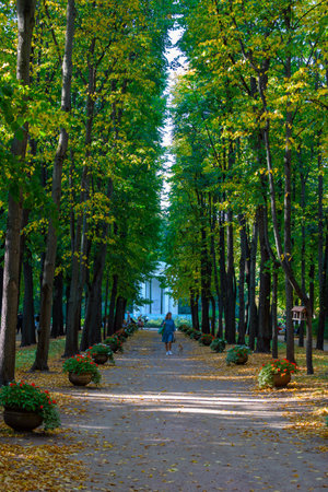 Moscow, Russia - September 23, 2023: A lady with a dog walks along a path in a park among the trees.のeditorial素材