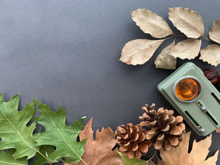 Autumn layout top view of vintage flashlight, leaves and pine cones on gray background. Flat lay, template, copy spaceの写真素材