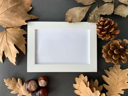 White photo frame mock up with dry leaves, pine cones and chestnuts on dark gray background