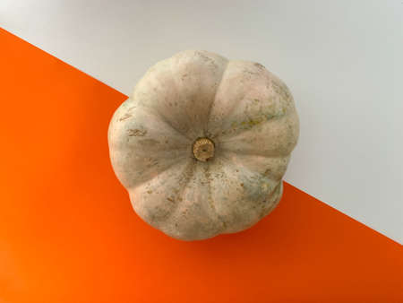 Autumn abstract flat lay. Concept with pumpkin on half white and half orange background. Creative top view, copy spaceの写真素材