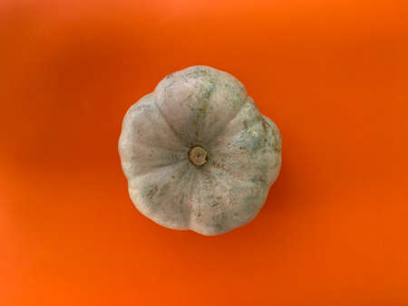 White pumpkin isolated on orange background. Top view, copy spaceの写真素材
