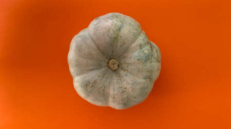 Autumn minimal flat layout. Copy space top view white pumpkin on orange backgroundの写真素材