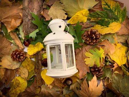 Top view autumn composition with white lantern and dry leaves