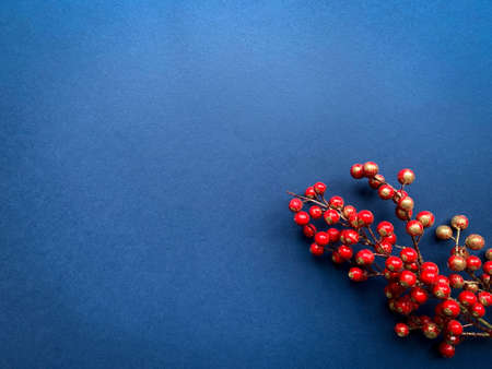 Winter holiday frame with red berries branch on blue background. Top view. Copy space.の写真素材