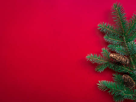 Flat lay concept with spruce branches and pine cones over red background. Christmas, New Year,...