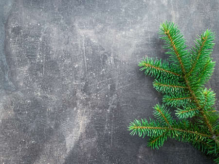 Winter background spruce tree branch over dark gray wooden texture. Top view Christmas frame with copy space.の写真素材