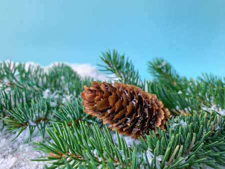 Close up winter fir tree branch with snowy pine cone over snow surface.