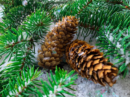 Christmas background, fir tree with cones in the snowの写真素材