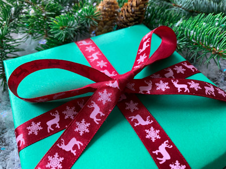 Christmas present with spruce branch and pine cones in background on a snowy surface.の写真素材