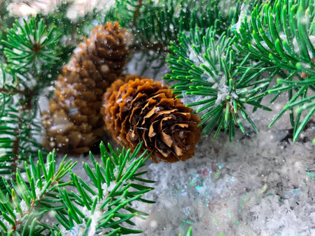 Hello December. Winter Holiday fir tree branch with selective focus on pine cones.の写真素材