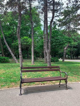 Lonely empty bench in peaceful park at early summer.の写真素材