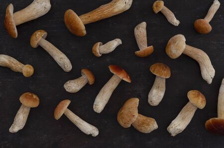 autumn background of mushrooms top view