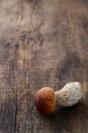 isolated white mushroom boletus. on dark wooden backgroundの写真素材