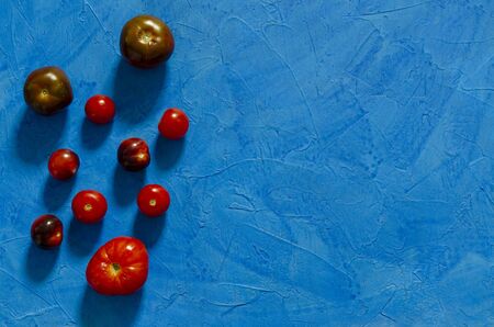 tomatoes on colored background. Composition tomatoesの写真素材