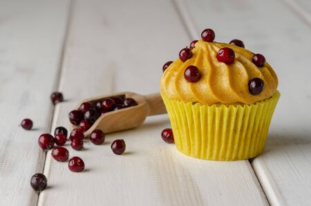 Pumpkin cupcakes with pumpkin-caramel cream and lingonberry on woodenの写真素材