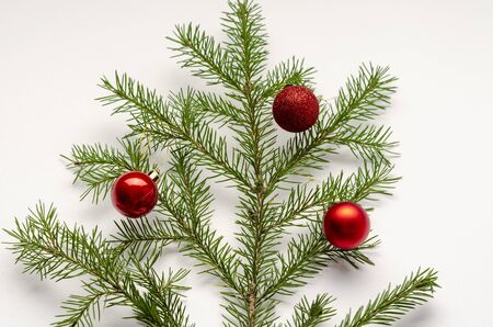 Christmas fir the branch on white background with red ballsの写真素材