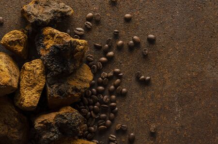 Mushroom Chaga Coffee mushrooms and coffee beans on dark