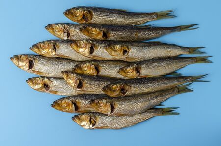 Fish pattern. herring on a blue seaの写真素材