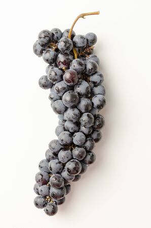Black grapes with drop of water isolated on whiteの写真素材
