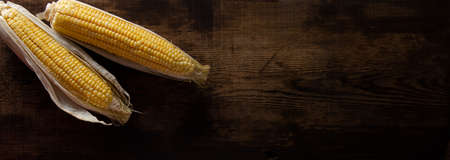 Fresh corn on cobs on rustic wooden tableの写真素材
