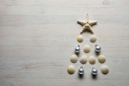 Christmas tree from sea shells and starfish on blue background, top viewの写真素材