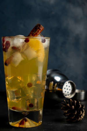 Non-alcoholic cocktail with cranberries and tangerine with shaker for christmasの写真素材