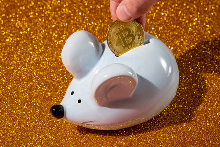 Bitcoin coin with piggy bank on a shiny golden background. The concept of investment and savings...
