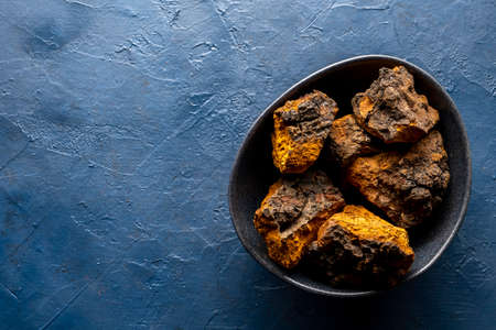 Chaga birch edible mushrooms in bowl on blue background.の写真素材