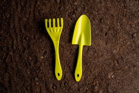 Gardening at home. Garden tools for seedlings on black ground background
