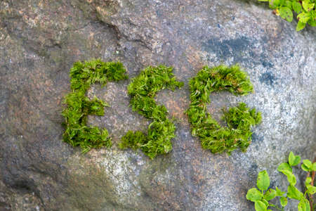 ESG concept of environmental, social and governance. ESG made of green moss.の写真素材