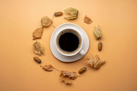 Autumn leaves and coffee cup over pastel background. Autumn concept.