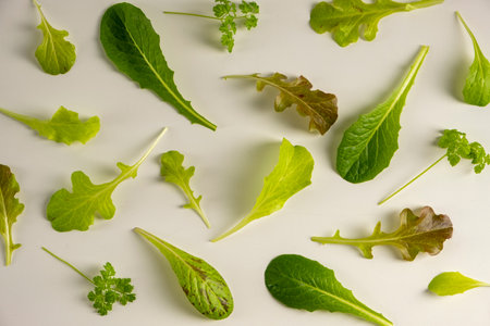Pattern with salad leaves. Vegetable abstract background. Spinach, lettuce, rucola on the white backgroundの写真素材