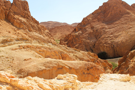 Oasis in the mountains of the Sahara desert