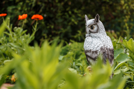 Figurine of a plaster owl in a garden among flowersの写真素材