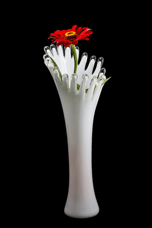 Glass white vase with a flower on a black backgroundの写真素材