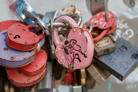 Love tree in the city parkの写真素材