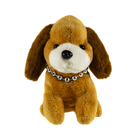Toy plush doggie on a white backgroundの写真素材