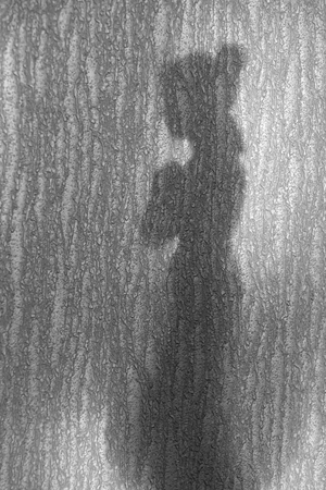 Silhouette of the antique girl on a wall on a sunsetの写真素材