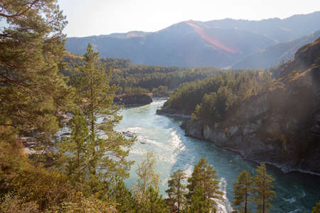 Mountain turquoise river Katun in the Altai Republic in Russiaの写真素材