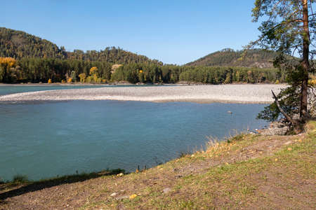 Mountain turquoise river Katun in the Altai Republic in Russiaの写真素材