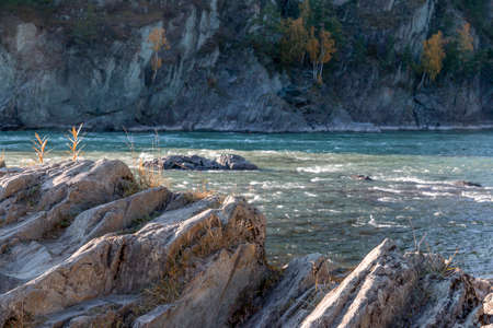Mountain turquoise river Katun in the Altai Republic in Russiaの写真素材