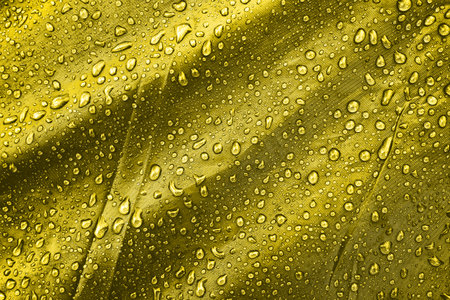 Water drops on the fabricの写真素材