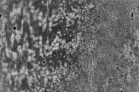 Abstract background. Monochrome texture. Image includes a effect the black and white tones.の写真素材