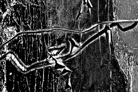 Abstract background. Monochrome texture. Image includes a effect the black and white tones.の写真素材