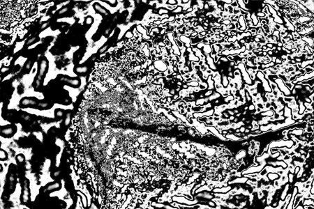 Abstract background. Monochrome texture. Image includes a effect the black and white tones.の写真素材