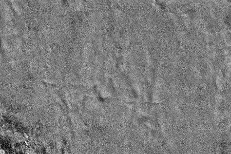 Abstract background. Monochrome texture. Image includes a effect the black and white tones.の写真素材